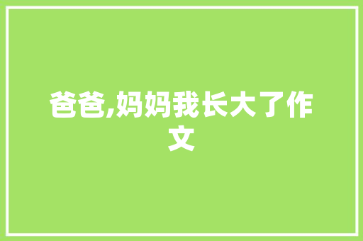 出塞,历史长河中的壮丽篇章