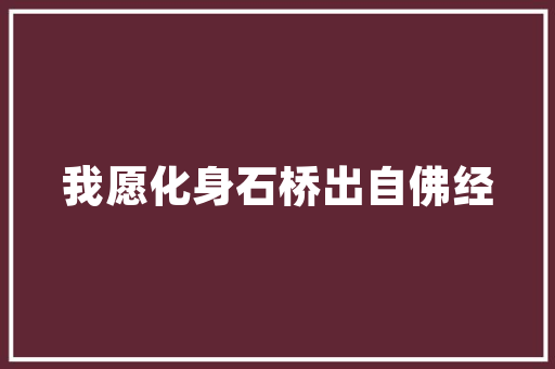 令字组词的,汉字文化的内涵与韵味