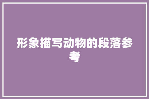 不可忽视的“不”字组词,其背后深刻的文化内涵